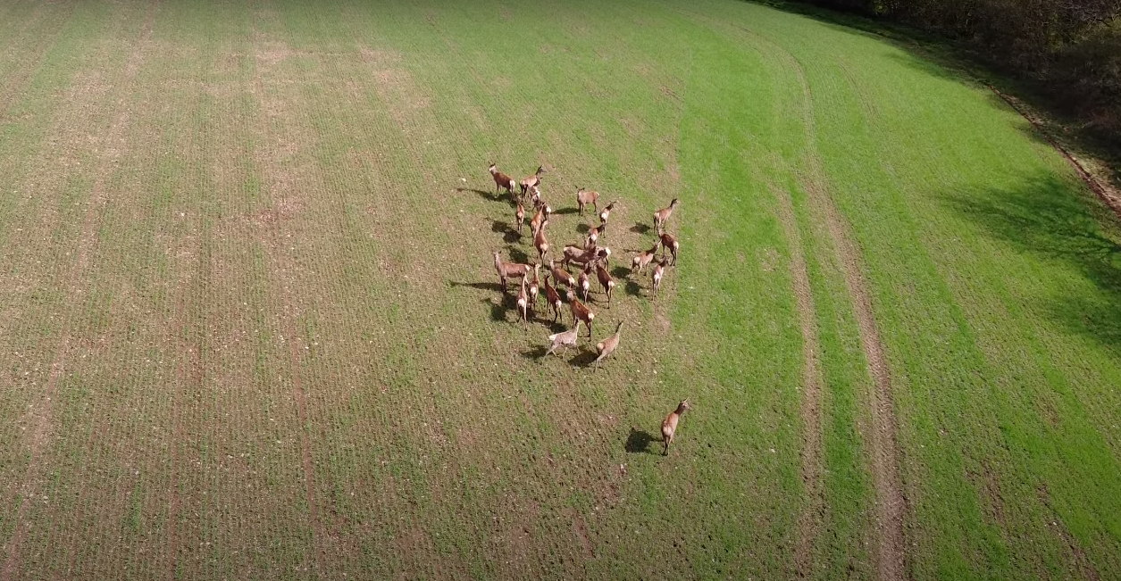 Beara Farm Chulmleigh Devon Holiday Cottage lettings