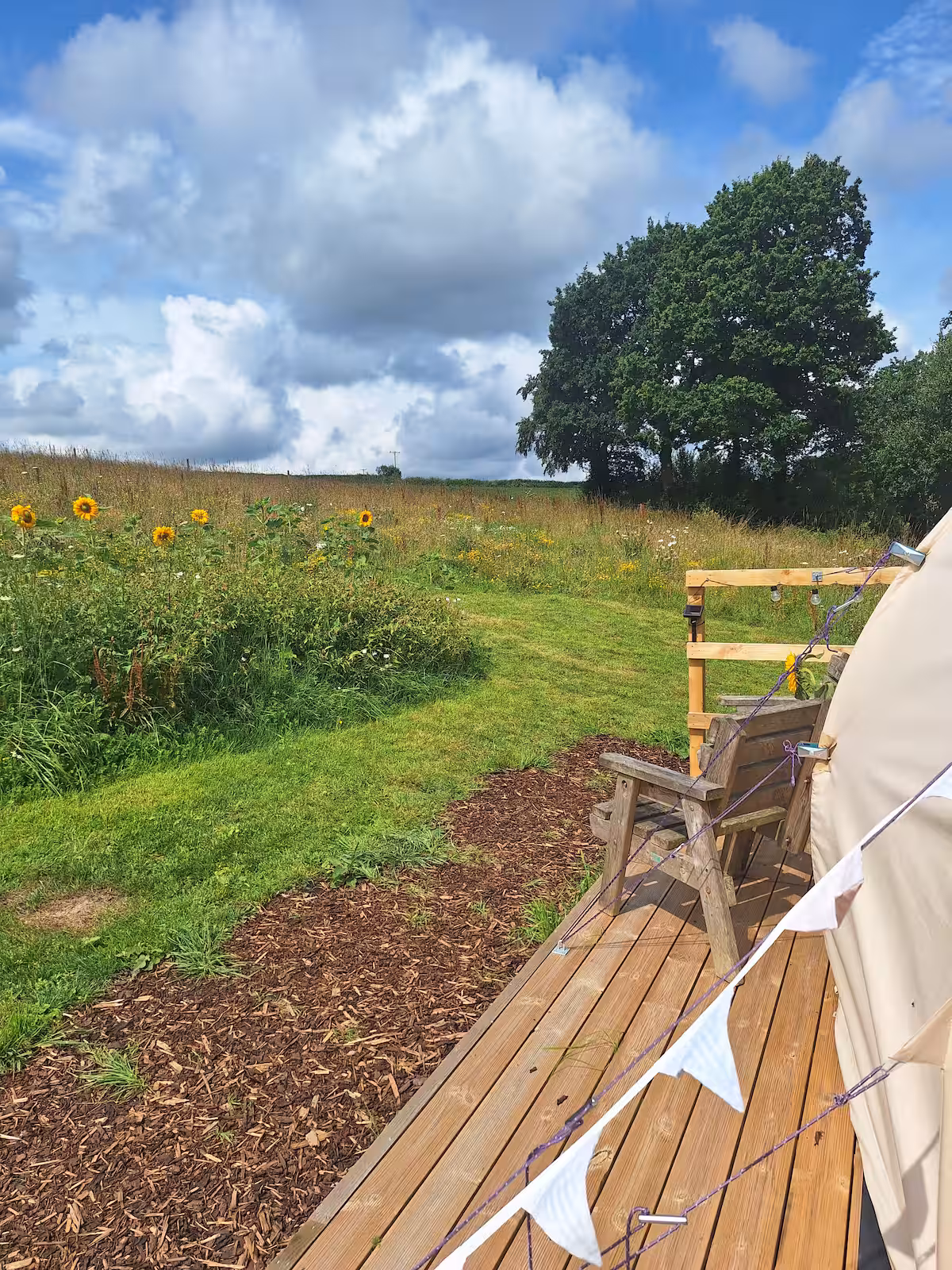 The Sunflower Room at Beara Farm
